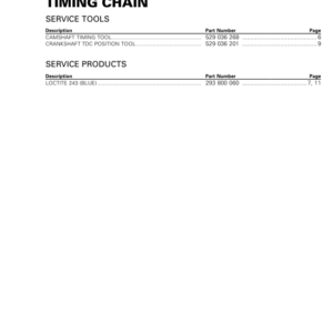 Rotax MY19 (1010RS SSV) Timing Chain RTX19 1010RS 008 en Manual