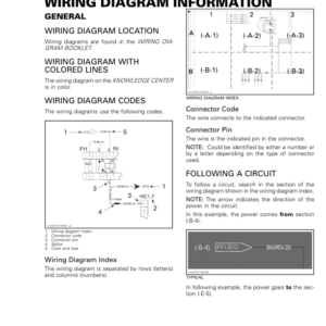 SSV 2019 Wiring Diagram Information Commander Shop Supp 219100965 046 Manual