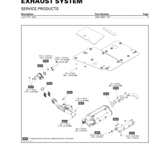 SSV Exhaust System (Traxter) Shop tmr2016 112 Manual