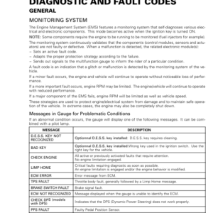 SSV 2019 Diagnostic and Fault Codes Commander Shop Supp 219100965 022 Manual