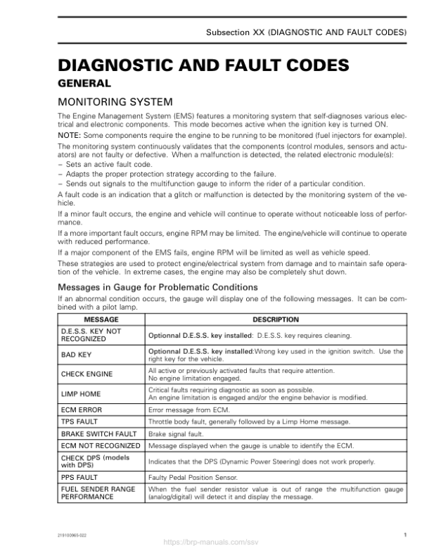 SSV 2019 Diagnostic and Fault Codes Commander Shop Supp 219100965 022 Manual