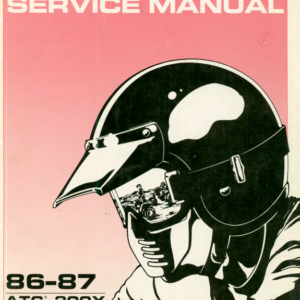 254410 Manual