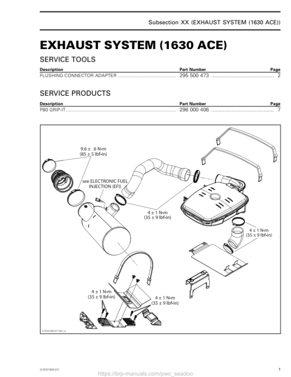 Exhaust System (1630 ACE) 219101005 011 en Manual