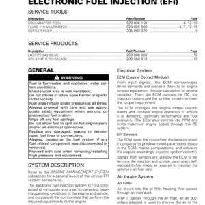 Rotax 2017 (HD5) Electronic Fuel Injection (EFI) RHD5MY17 011 Manual