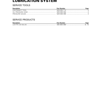 Rotax MY19 (1010RS SSV) Lubrication System RTX19 1010RS 003 en Manual