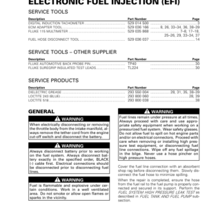 Electronic Fuel Injection EFI Manual