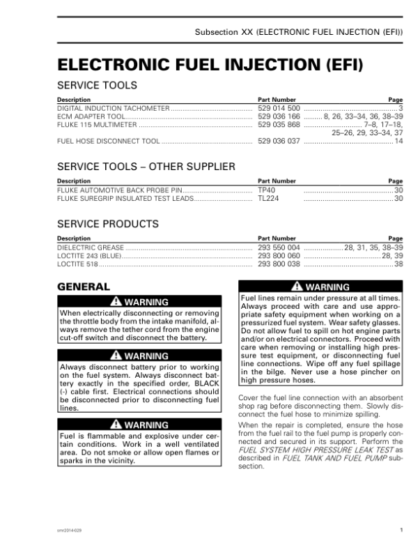 Electronic Fuel Injection EFI Manual