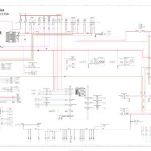 ROADSTER 2019 RYKER (Canada and USA) Wiring Diagram 219100957 WD61Y019 en Manual