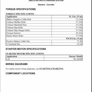 2002 STARTER  Manual