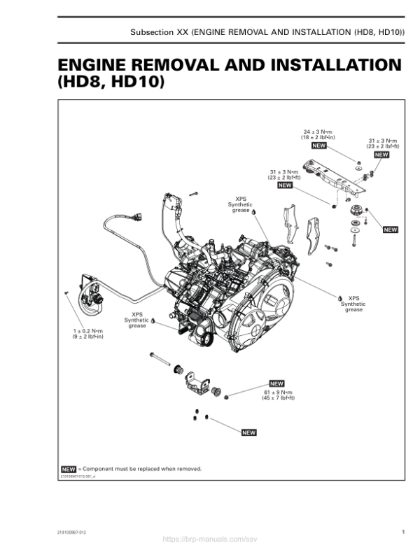 SSV 2019 Engine Removal and Installation (HD8, HD10) 219100967 012 Manual