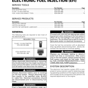 SSV 2019 Electronic Fuel Injection (EFI) Maverick Shop Supp 219100971 015 Manual