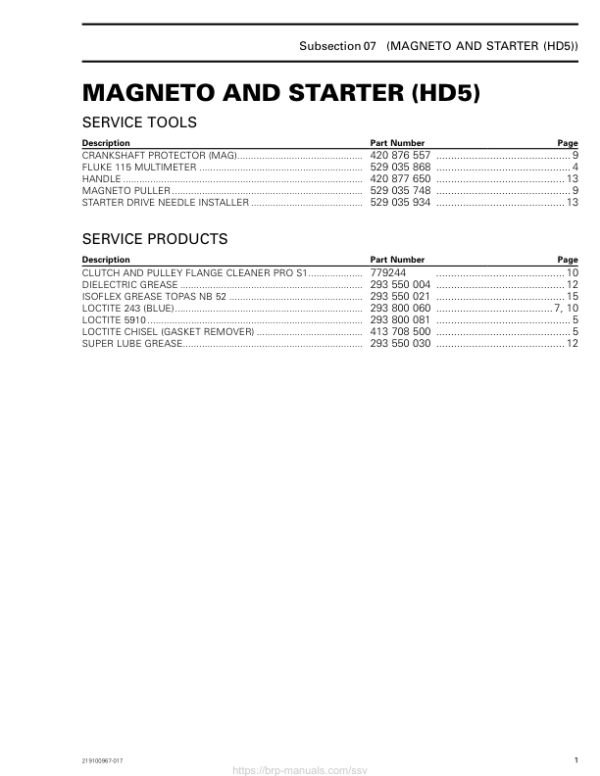 SSV 2019 Magneto and Starter (HD5) 219100967 017 Manual