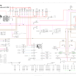 ROADSTER 2019 RYKER (Outside Canada and USA) Wiring Diagram 219100957 WD61Y019 en Manual