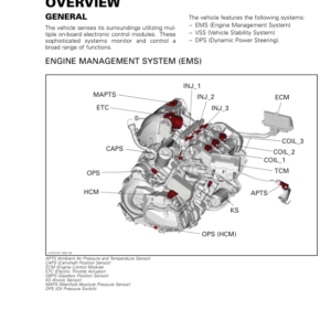 Road 2020 Overview (EMS) 219101011 006 Manual