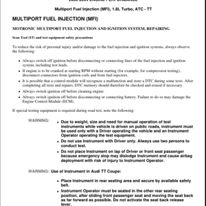 Fuel Injectionn Manual