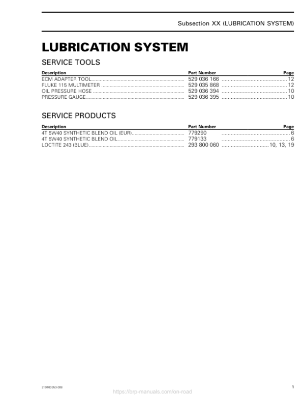 ON ROAD Lubrication System Shop 219100953 008 Manual