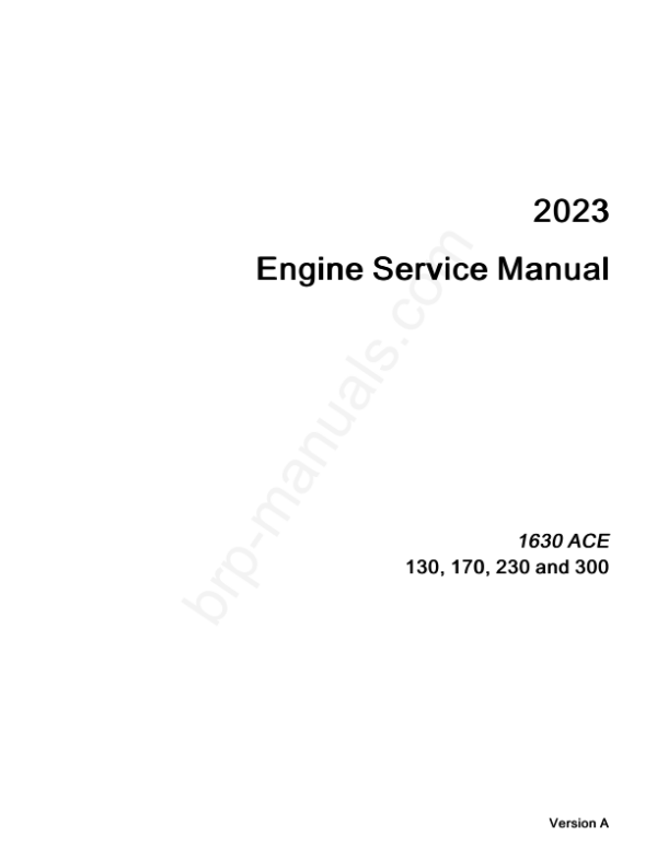 2023 Engine 1630 ACE 130 170 230 300 v.A Manual