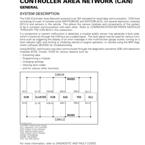 Roadster 2019 Controller Area Network (CAN) Ryker Shop 219100957 014 Manual