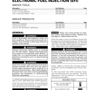 ROAD 2018 (EFI) repair 219100949 012 Manual