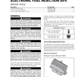 Rotax MY19 (M 2) EFI RTXM 2 MY19 011 en Manual