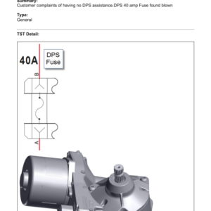 ATV SSV DPS Blown 40 amp fuse 138427 Manual