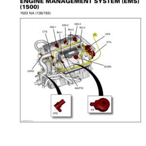 Engine Management System (EMS) (1500 engine) GTI GTR WAKE 155 Shop Supp. 219100961 012 Manual