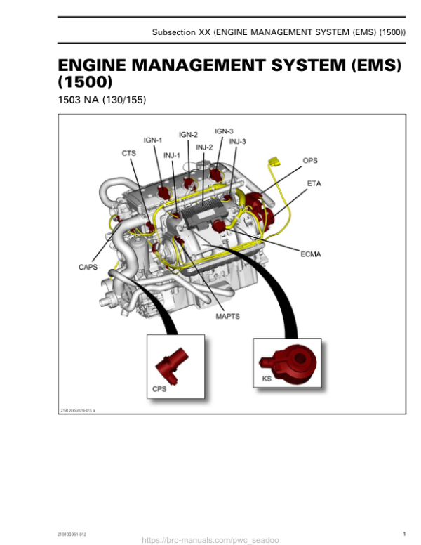 Engine Management System (EMS) (1500 engine) GTI GTR WAKE 155 Shop Supp. 219100961 012 Manual