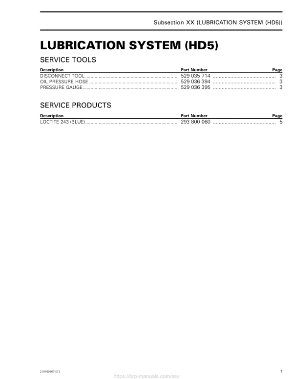 SSV 2019 Lubrication System (HD5) 219100967 013 Manual