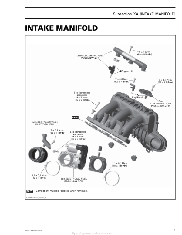 Rotax SSV (Intake Manifold) 903 suppl. RTXCARBSSV 001 en Manual