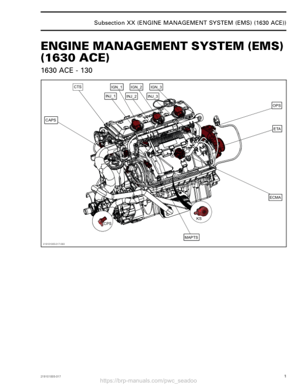 Engine Management System (EMS) (1630 ACE) 219101005 017 en Manual