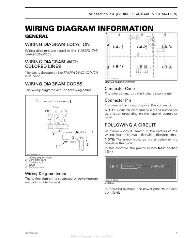 SSV 2019 Wiring Diagram Information 219100967 036 Manual