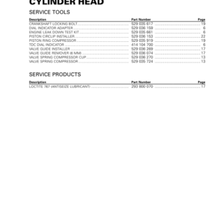 Rotax MY19 (1010RS SSV) Cylinder Head RTX19 1010RS 007 en Manual