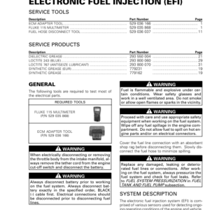 SSV 2020 Electronic Fuel Injection (EFI) Repair RTX20 900SSV 011 en Manual