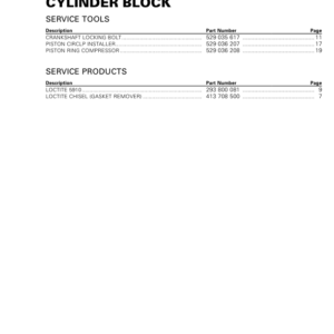 Rotax MY19 (M 2) Cylinder Block RTXM 2 MY19 008 en Manual