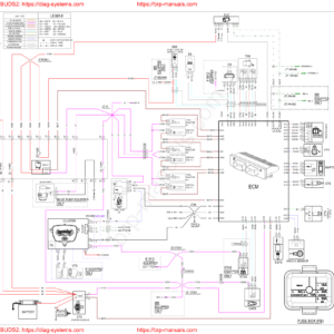 2022 Wiring Diagram All Models 219101094 Manual