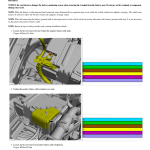 Battery Disconnect and Connect G2223029 Manual