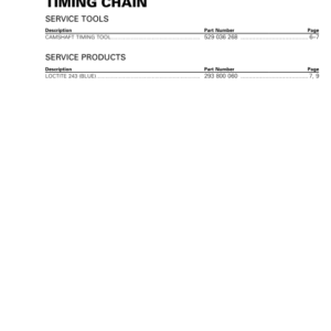 Rotax 2017 (HD5) Timing Chain RHD5MY17 006 Manual