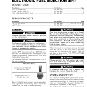 Electronic Fuel Injection (EFI) (1603) Manual