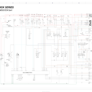 SSV 2021 MAVERICK SERIES Wiring Diagram 219101037 WD91Y021 en Manual