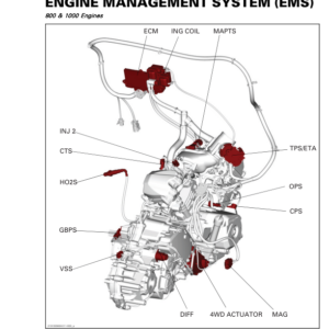 SSV 2019 Engine Management System (EMS) Maverick Trail Shop Supp 219100969 011 Manual