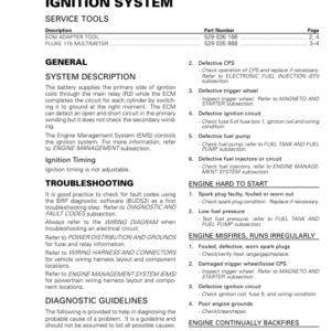 ATV 2018 Ignition System (New T3) Shop 219100881 014 Manual