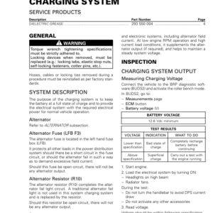 ON ROAD Charging system Shop 219100953 018 Manual