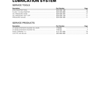 ROAD Lubrication (Ryker) Shop RTX20 ACE ROAD 002 Manual