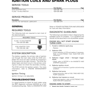 SSV 2020 Ignition Coils and spark Plugs HD10 Repair RTX20 1010HO 012 en Manual