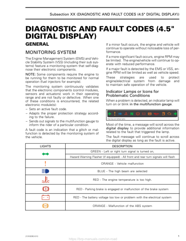 ON ROAD Diagnostic and Fault Codes (4.5`` Digital Display) Shop 219100953 013 Manual