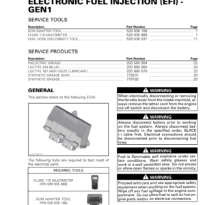 SSV 2021 Electronic Fuel Injection (EFI) GEN1 Repair RTX21 903SSV 005 en Manual