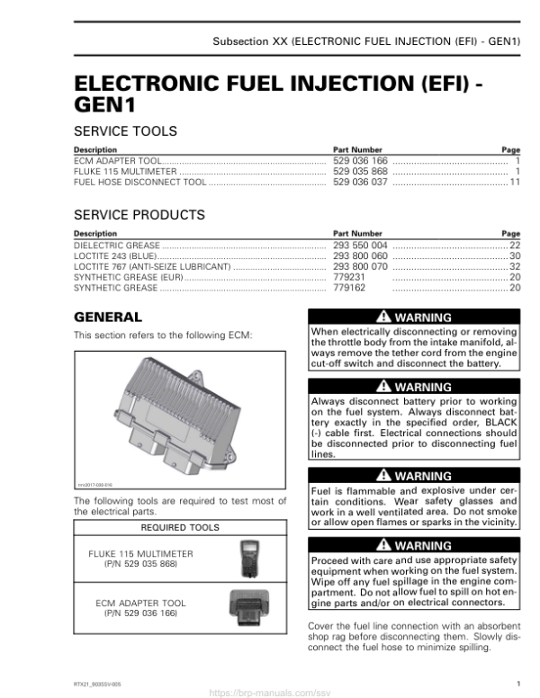 SSV 2021 Electronic Fuel Injection (EFI) GEN1 Repair RTX21 903SSV 005 en Manual