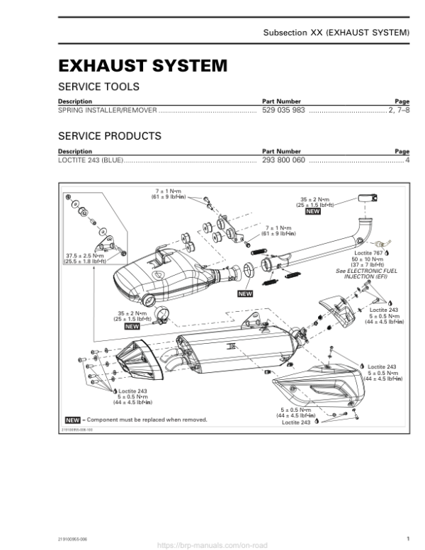 ROAD Exhaust System Shop 219100955 006 Manual