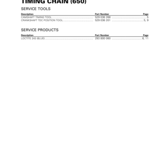 ATV MY18 Timing Chain (650) 219100885 022 Manual