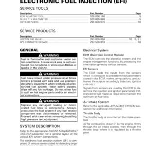 ATV Electronic fuel injection (EFI) (Renegade, Renegade X mr) Shop vmr2016 423 Manual